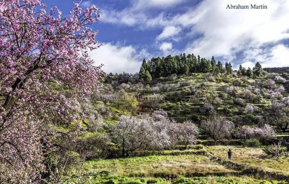 El Paraiso En Los Gigantes Santiago del Teide المظهر الخارجي الصورة