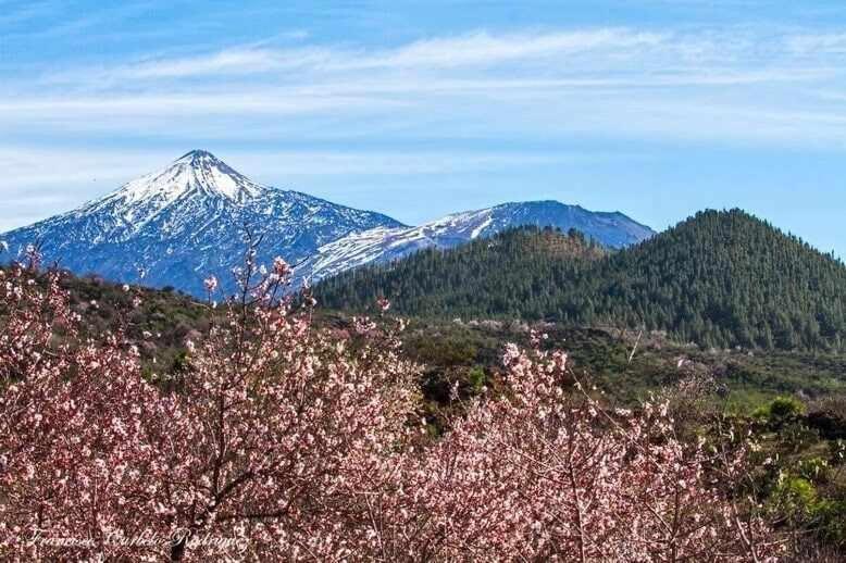 El Paraiso En Los Gigantes Santiago del Teide المظهر الخارجي الصورة